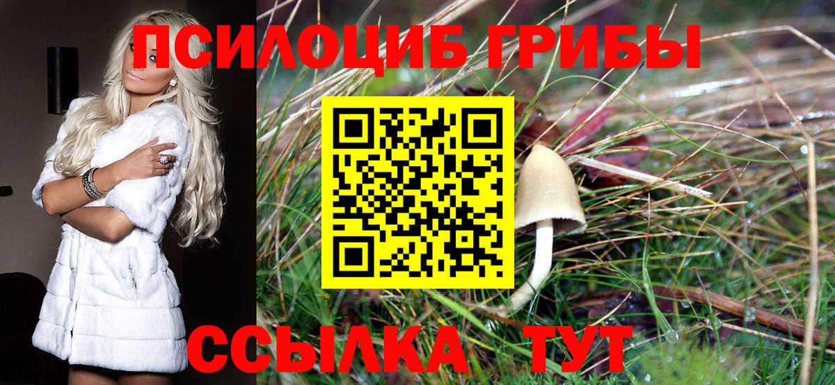 Мирный  даркнет сайт  Вход с VPN  Псилоцибиновые грибы мицелий 